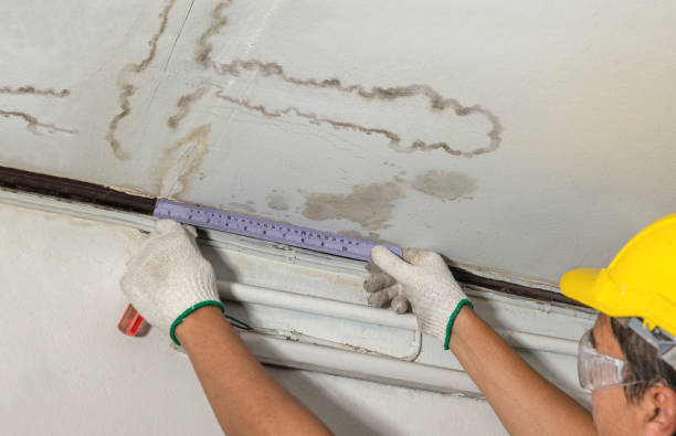 Reliable Water Damage Repair contractor in Sargentville, ME by Hirex Water Damage